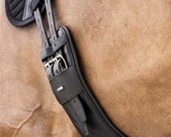 Girth & Stirrups