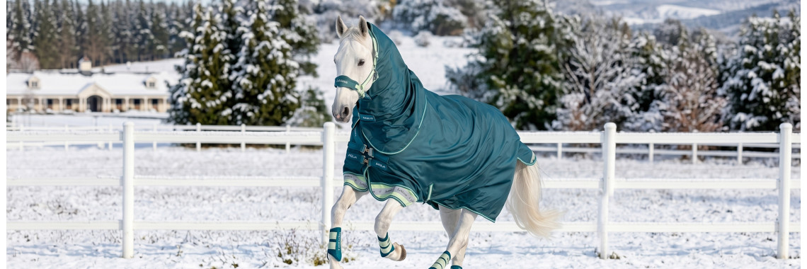 Horse Rugs