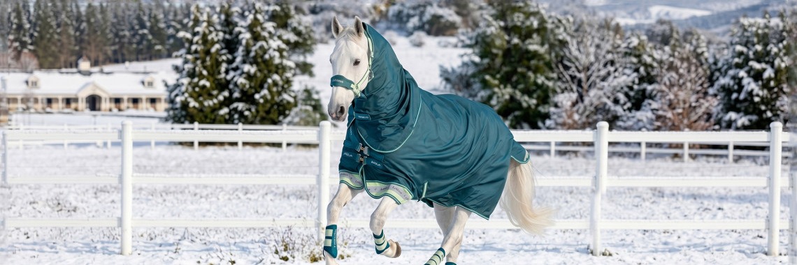 Horse Rugs