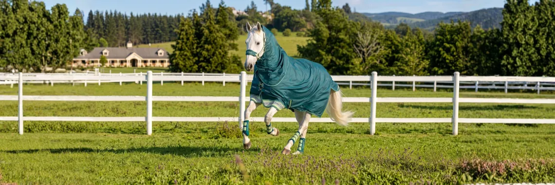 Horse Rugs